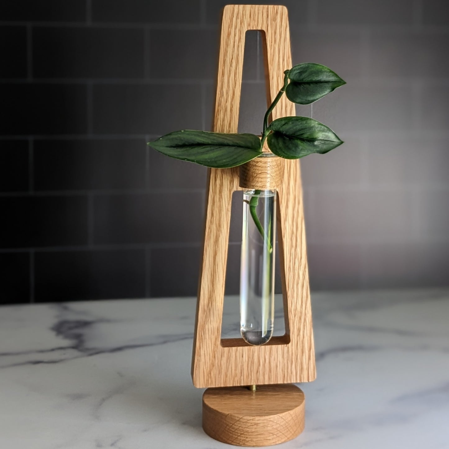 Pedestal Series: A-Frame Plant Propagation Stand