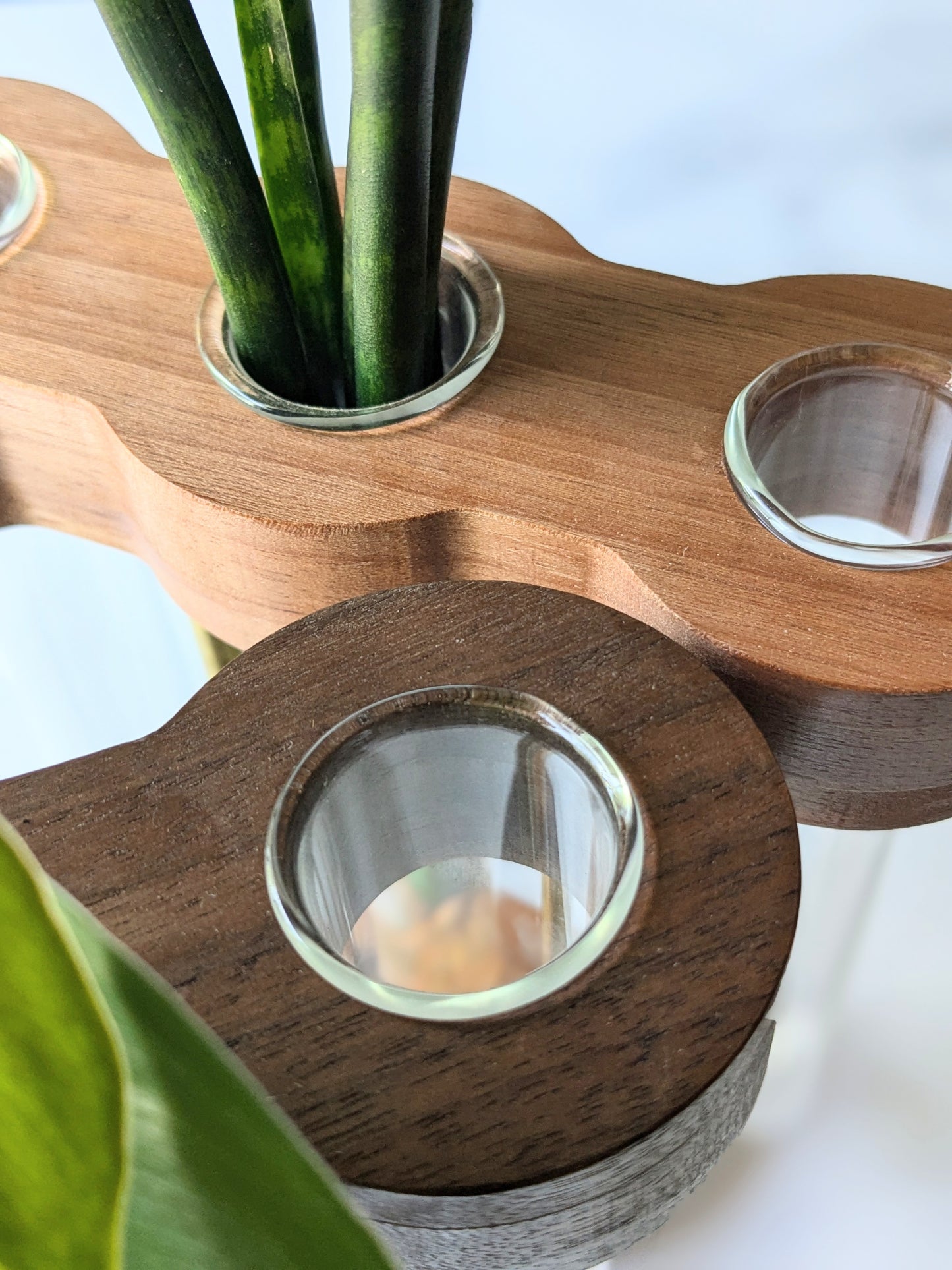 Pedestal Series: Stilts Plant Propagation Stand