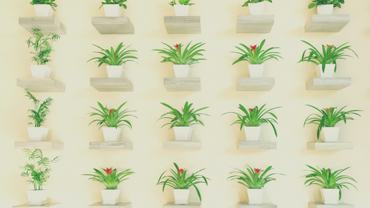I Asked ChatGPT What is the perfect houseplant for beginners?