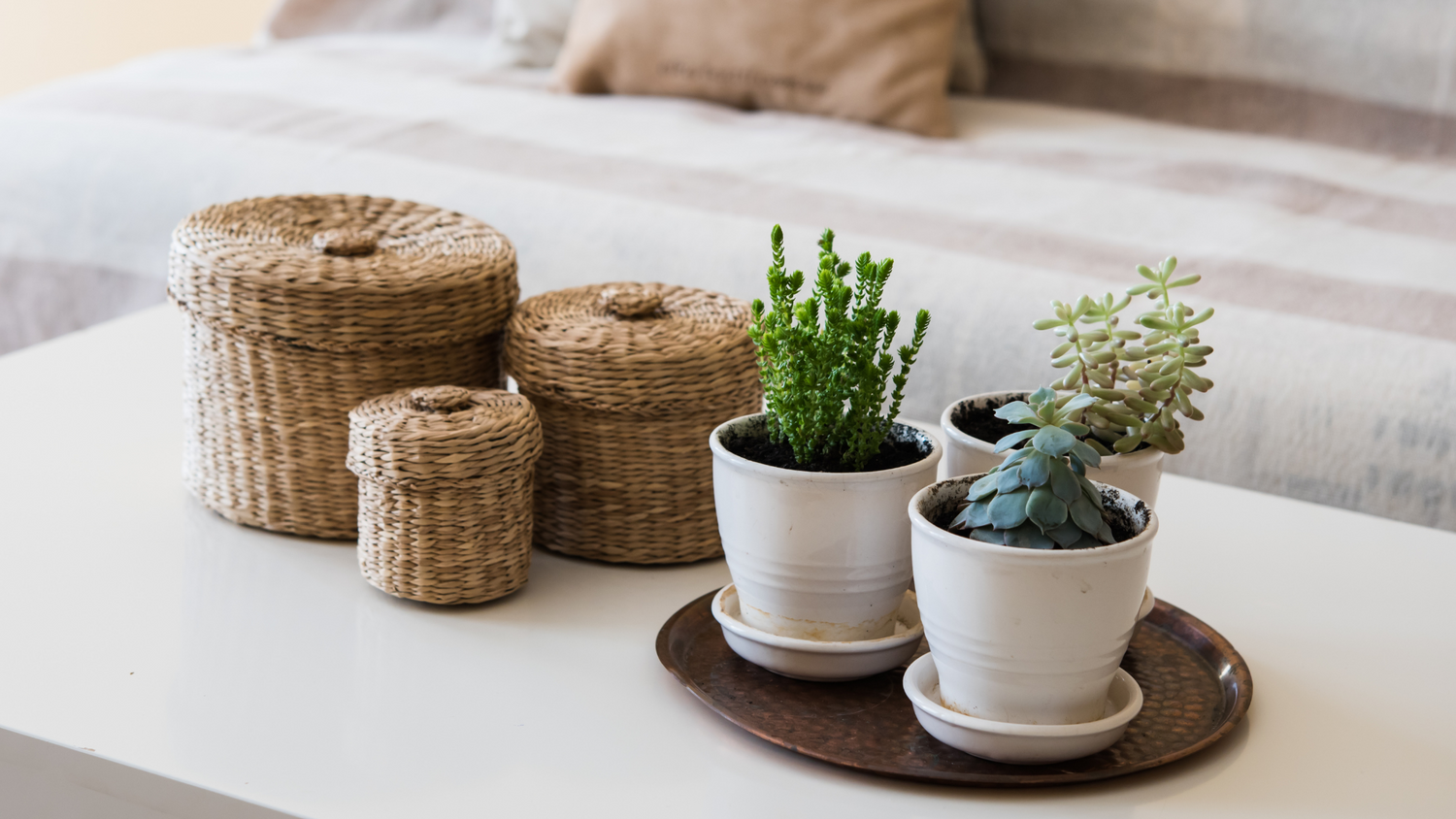 What Do Your Plants Say About You? Theory Beyond Design