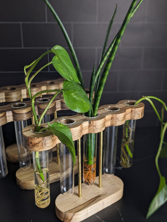 Pedestal Series: Stilts Plant Propagation Stand