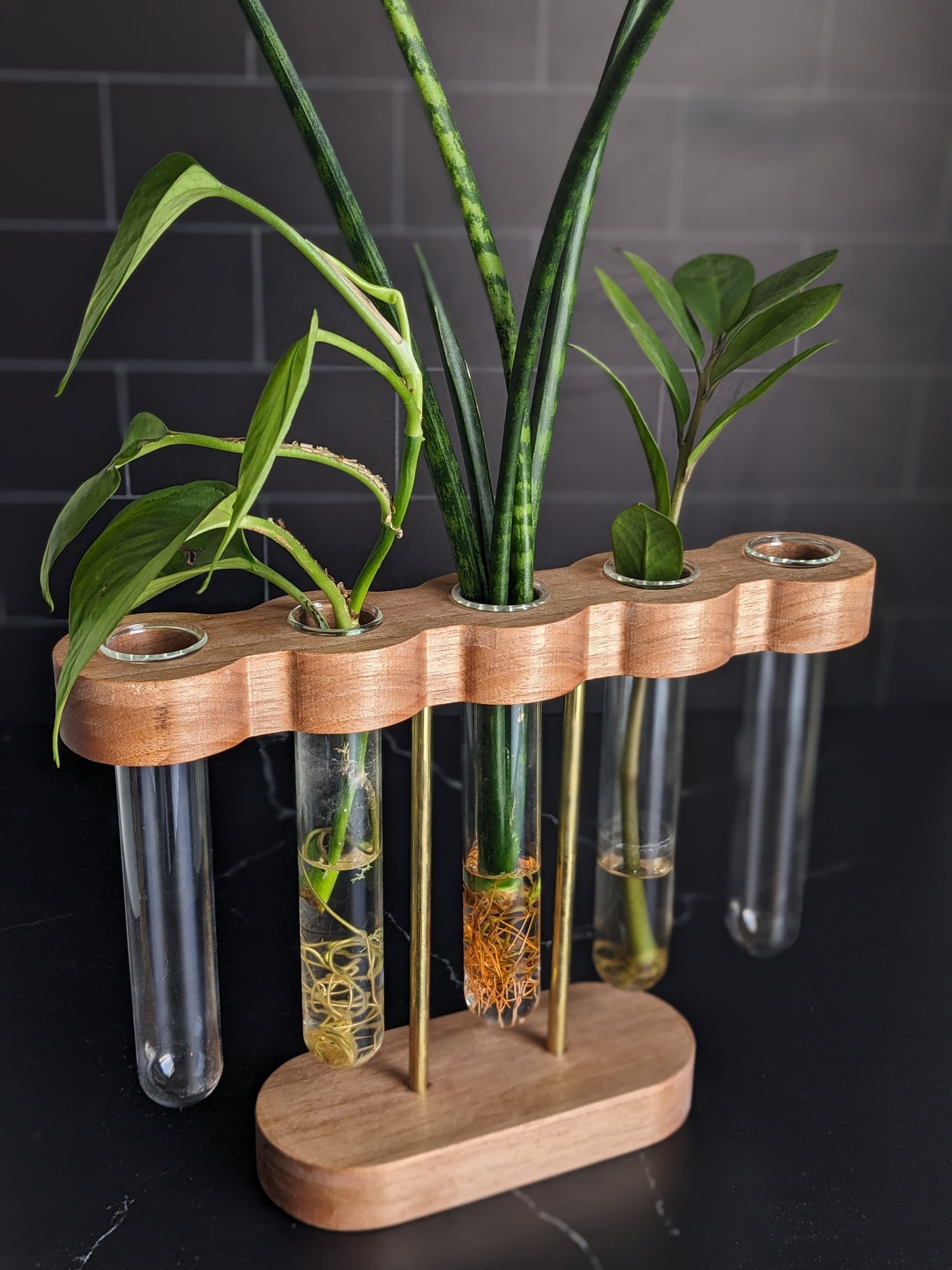 Pedestal Series: Stilts Plant Propagation Stand