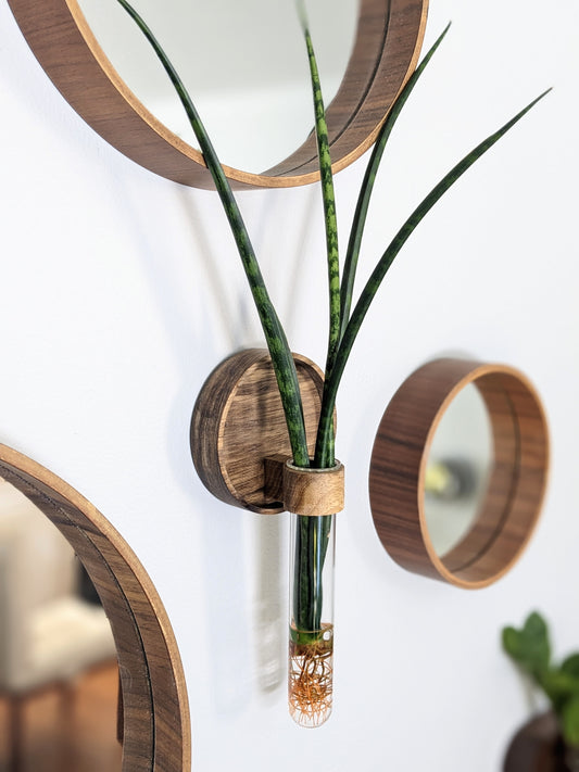 Sunrise Plant Propagation Wall Vase