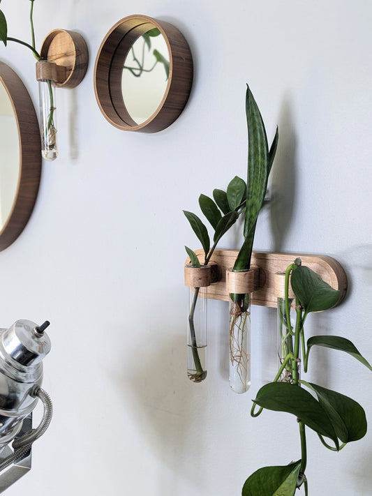 Oblong Trio Plant Propagation Wall Vase