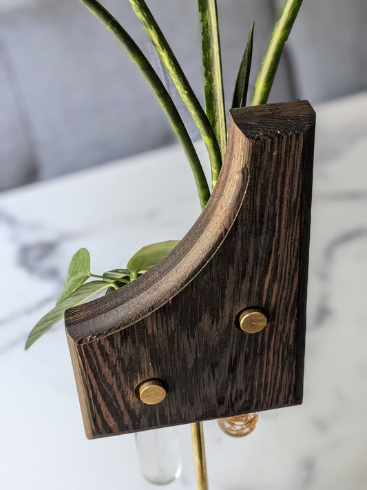 Asymmetric Plant Propagation Vase