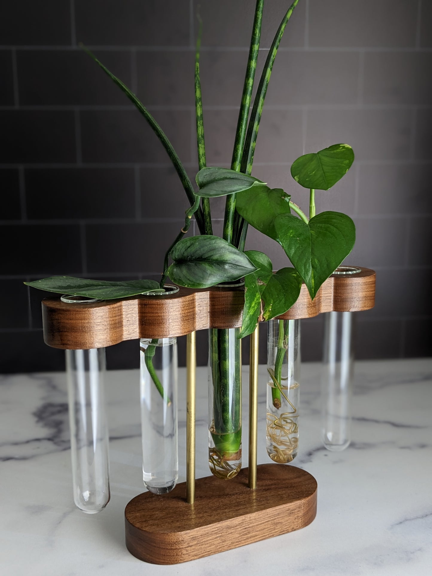 Pedestal Series: Stilts Plant Propagation Stand