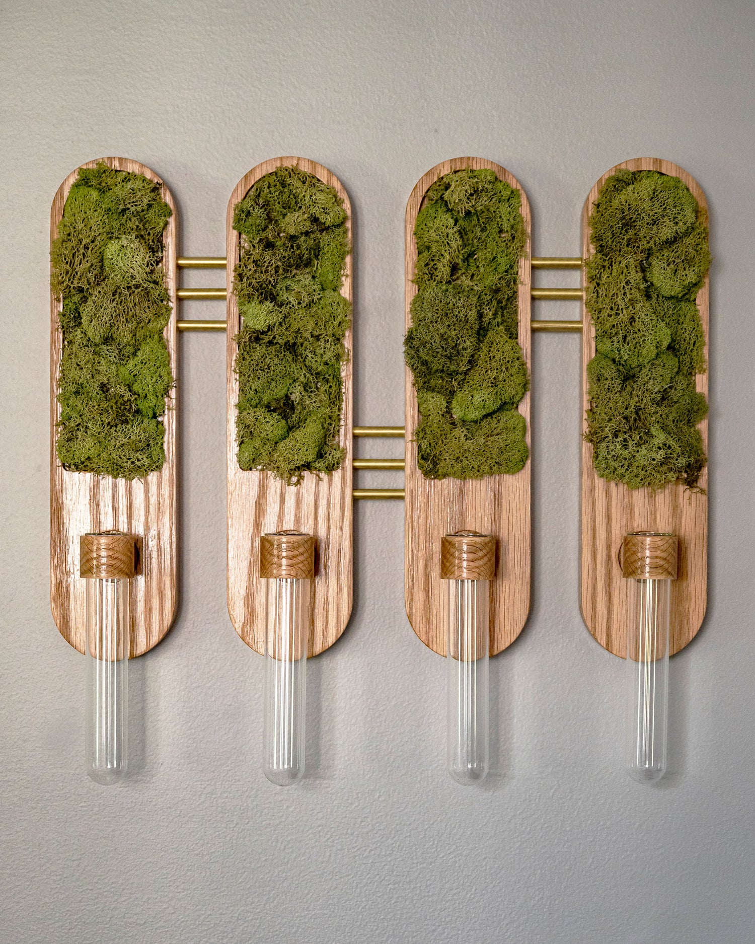 Image of Moss Art Plant Propagation Set