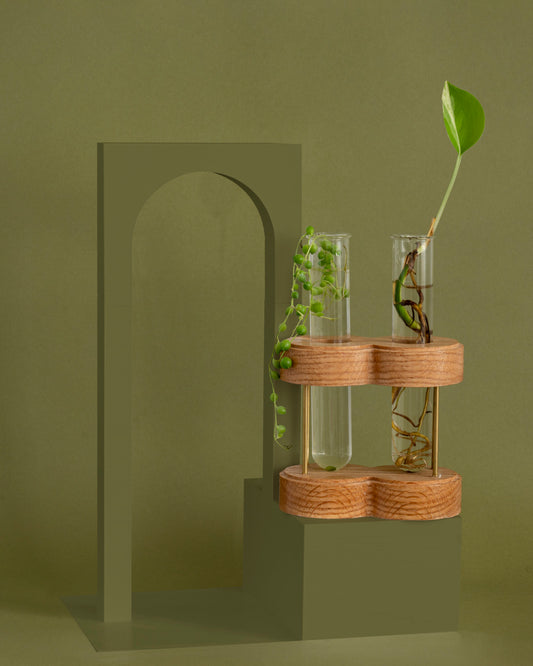 Image of the duo ring plant propagation stand