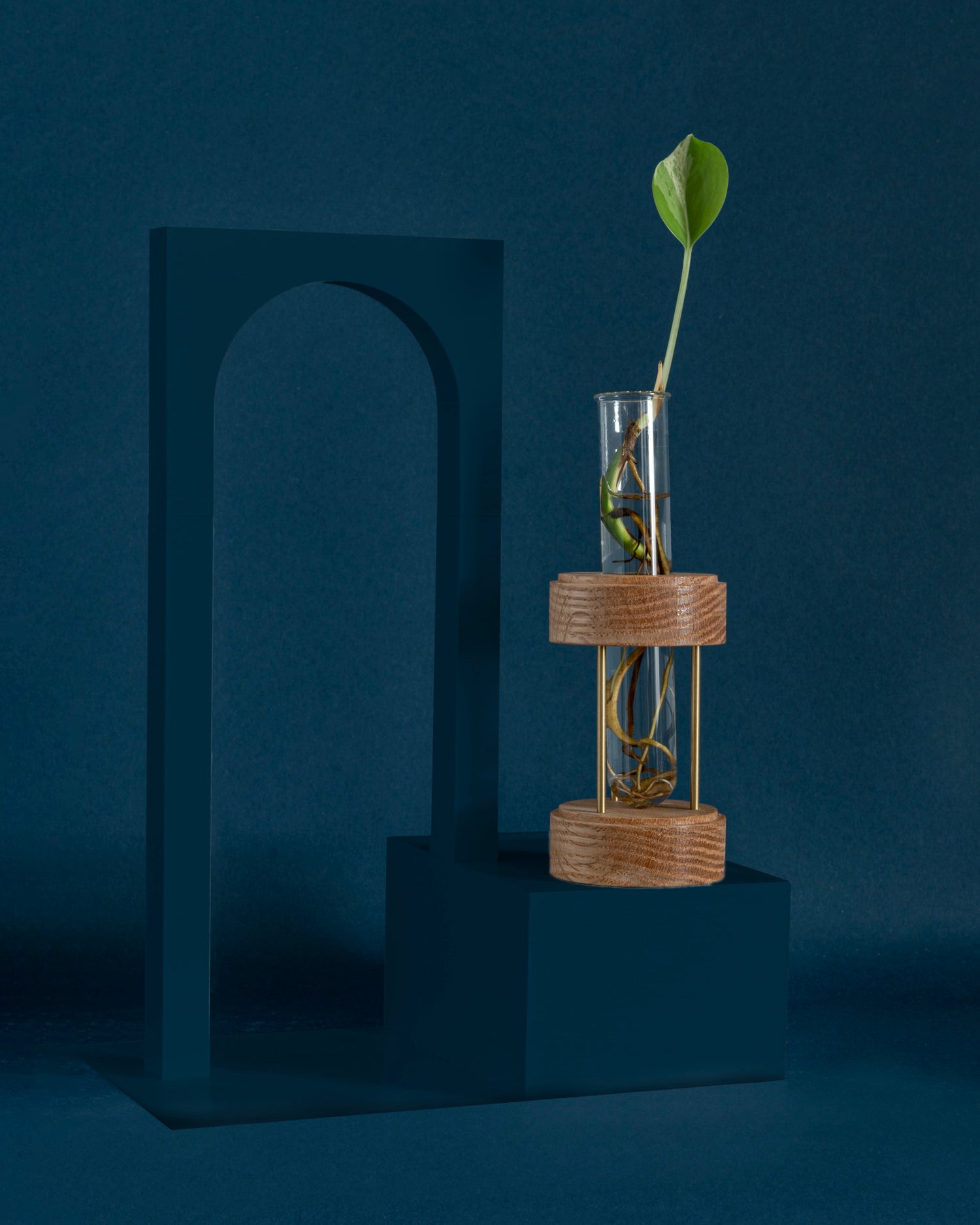 Image of oak plant propagation stand