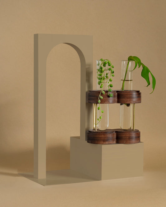 Image of the duo ring plant propagation stand