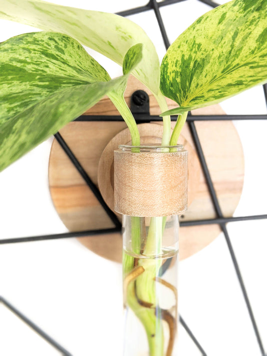 Image of maple vase close up