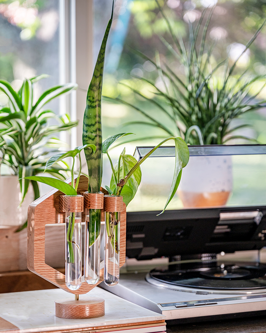 Pedestal Series: Hex Plant Propagation Stand