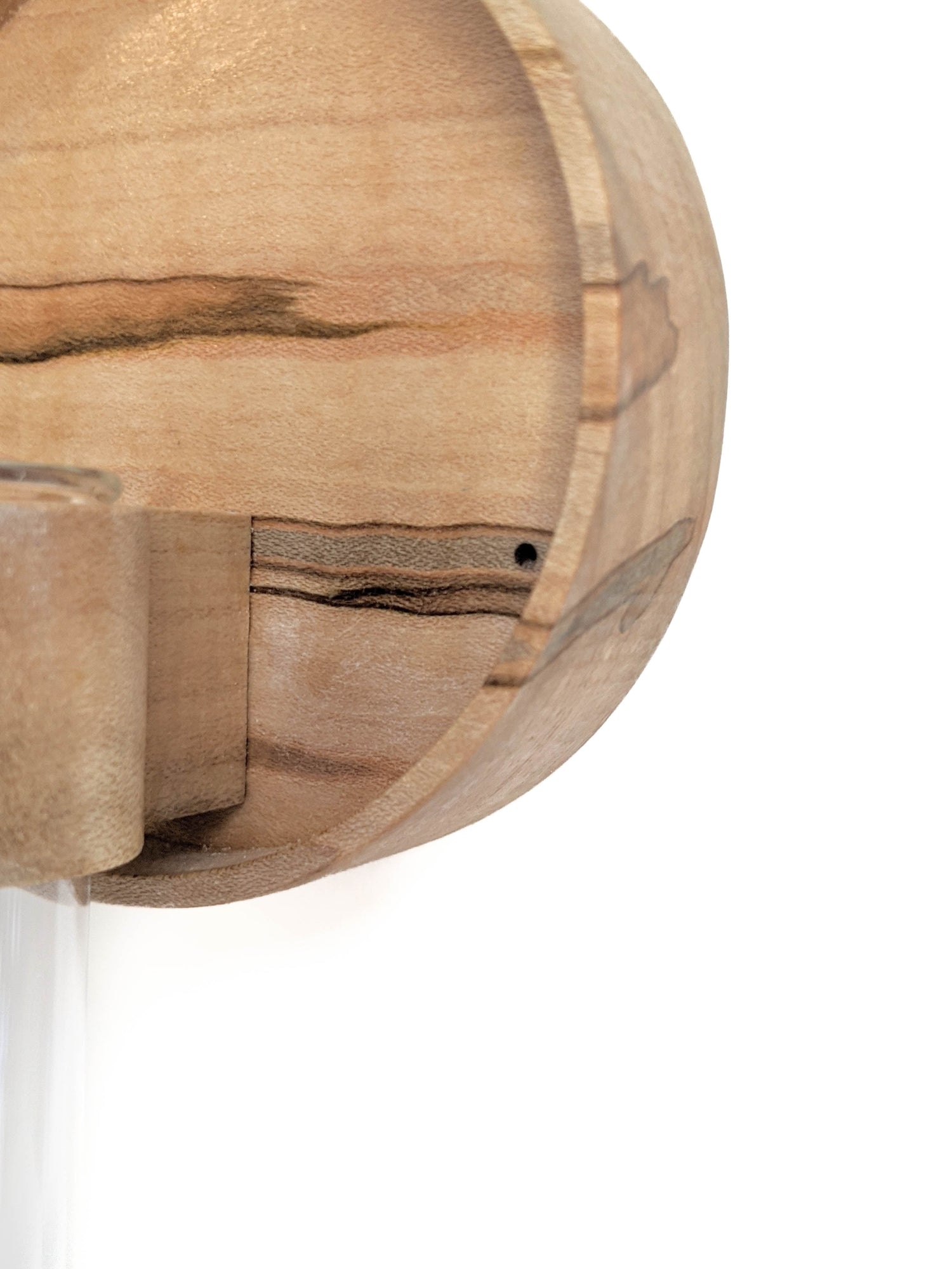 Image of ambrosia maple close up